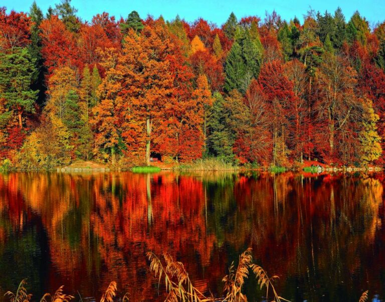 SALUDAR AL OTOÑO, CON FUERZA