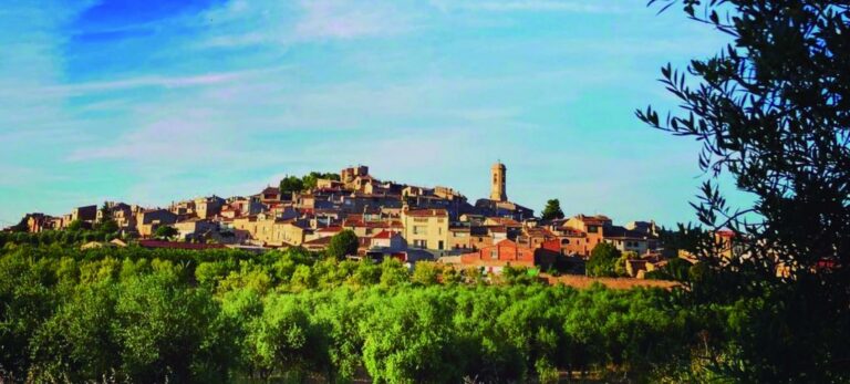 Agenda Diputació de Lleida