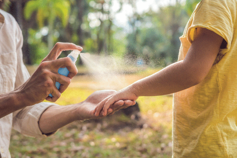 Com fer rep·pelent per a mosquits casolà i natural