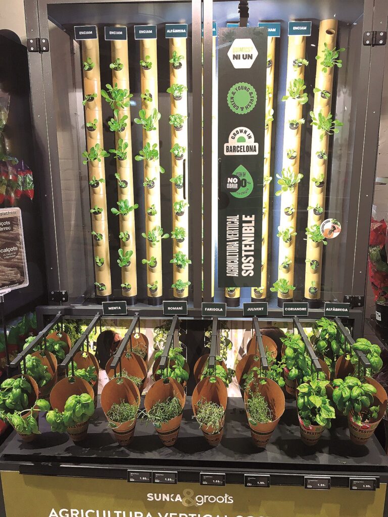 Plusfresc instala su primer jardín vertical en su tienda Sunka de Lleida