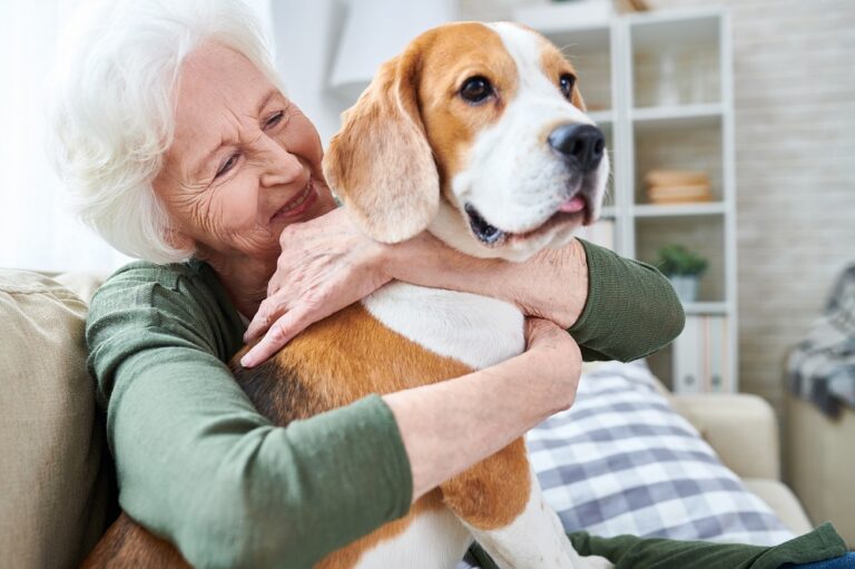 Els millors gossos per a les persones grans