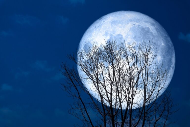 SUPER LUNA